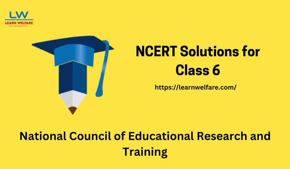 Guide to NCERT Solutions for Class 6